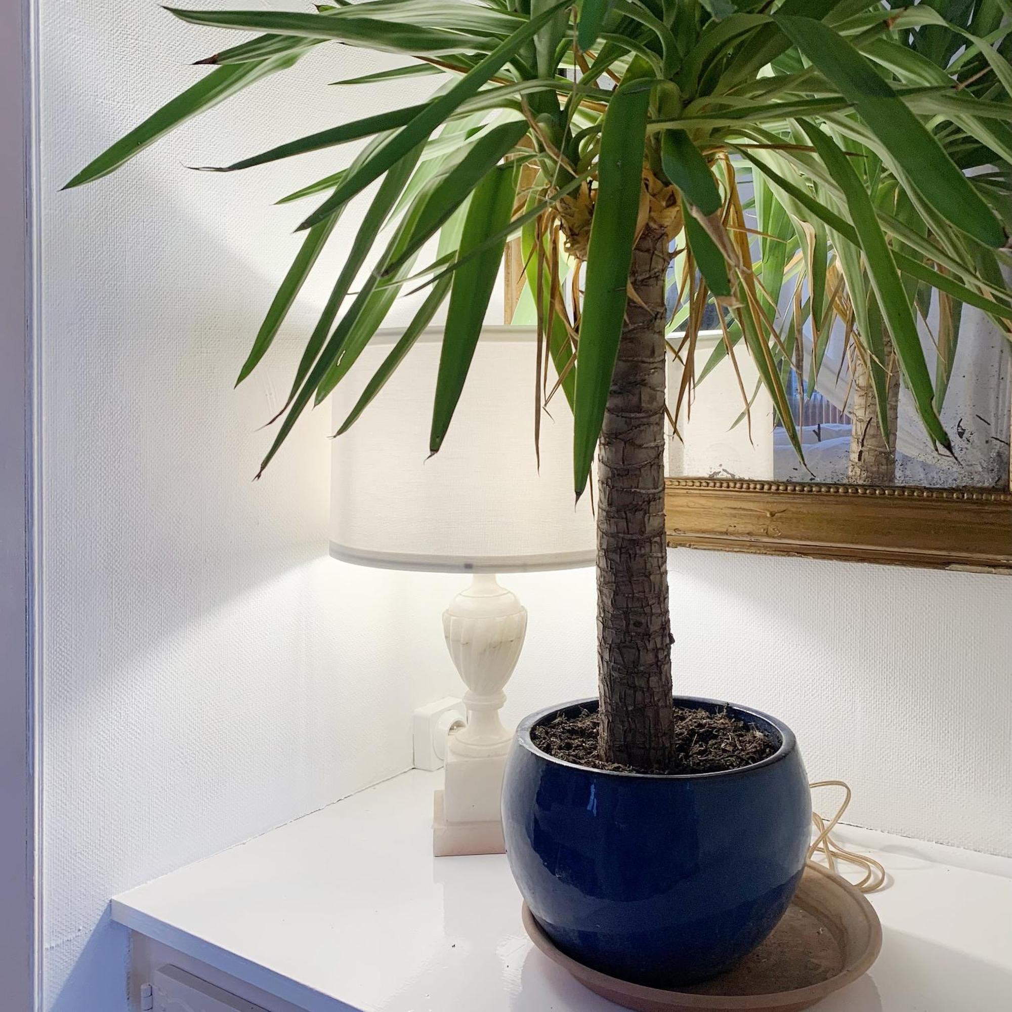 Appartements 4 Vents By La Boite En Plus ซ็องลิส ภายนอก รูปภาพ